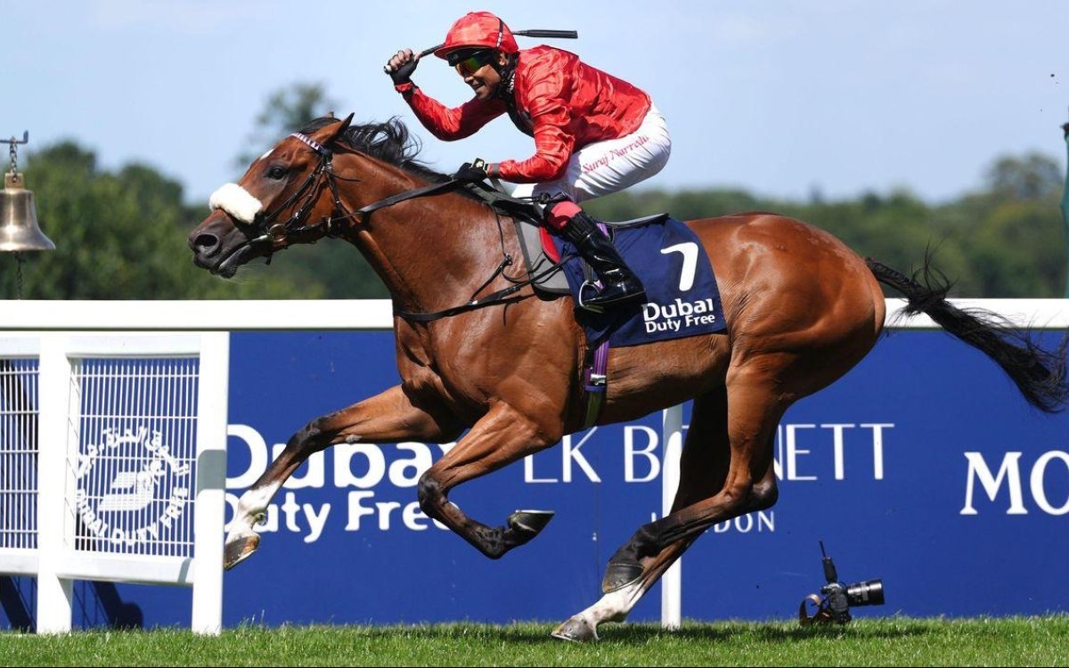 India's Suraj Narredu makes history with Shergar Cup 2025 win at Ascot