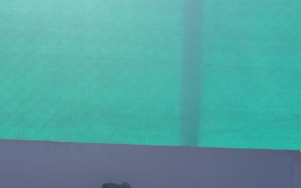 ITF Men’s World Tennis Tour: Digvijay Wins Singles Title In Bhopal M25, Nitin Finishes Runner-up