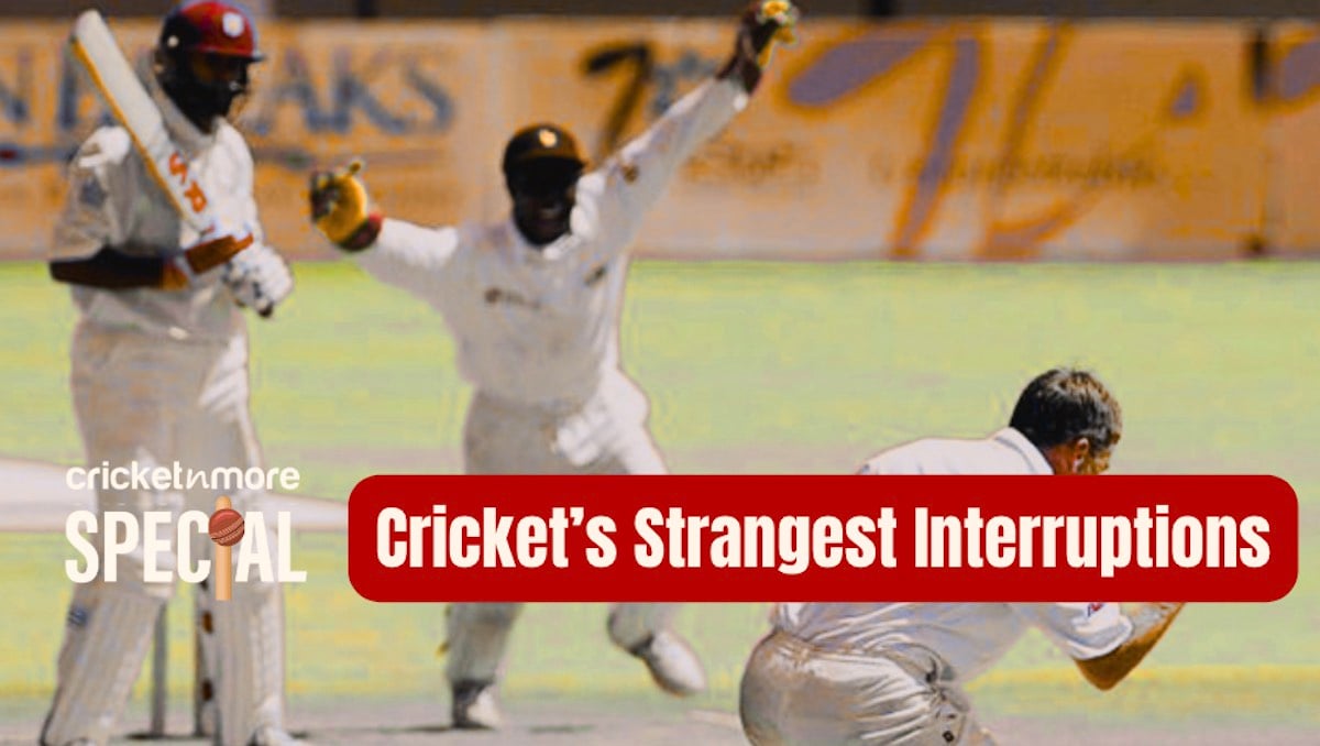 Cricket Strangest interuptions
