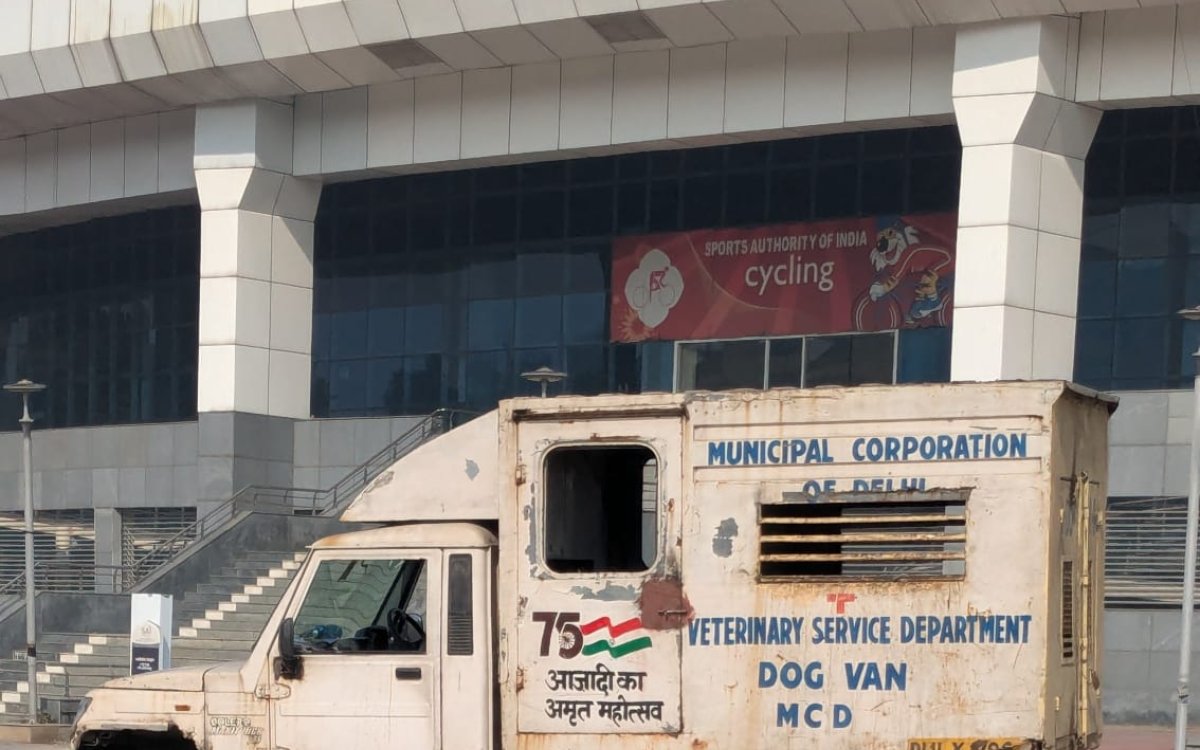 BWF India Open: After monkeys, stray dogs spotted at IG Sports Complex; dog van stationed at venue