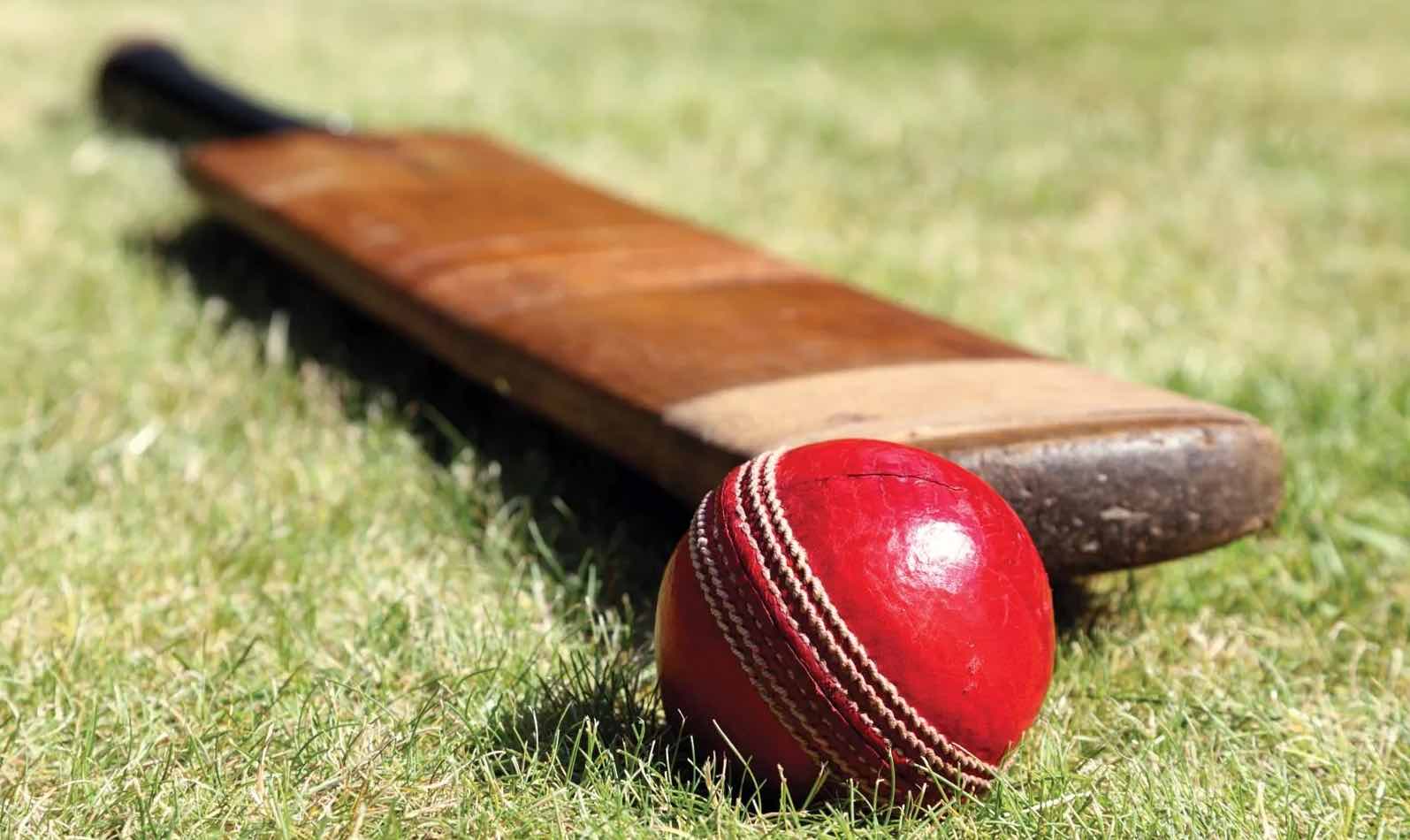 fantasy cricket tips