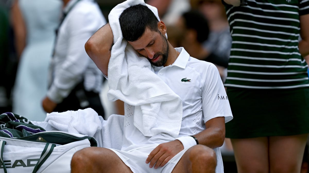 So excited to be back: Djokovic confirms China Open return after 11 years
