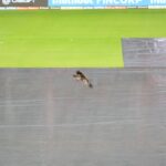 5th T20I: Rain-hit series decider to begin at 9:15 pm, reduced to a nine-overs-a-side affair